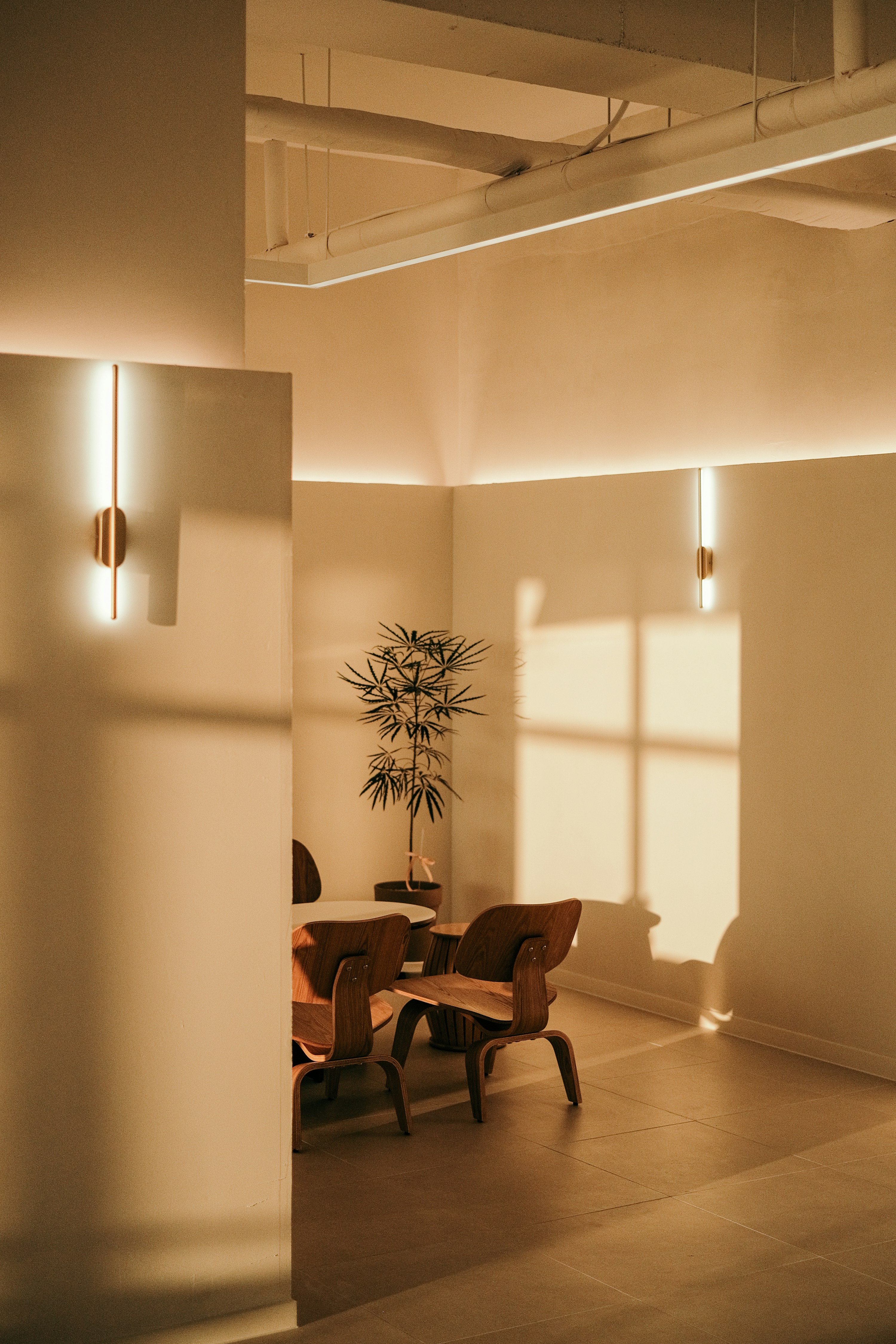 Studio West, Shanghai, China